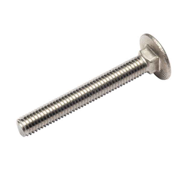 M10X100 Stainless Steel Coach Bolt - 304